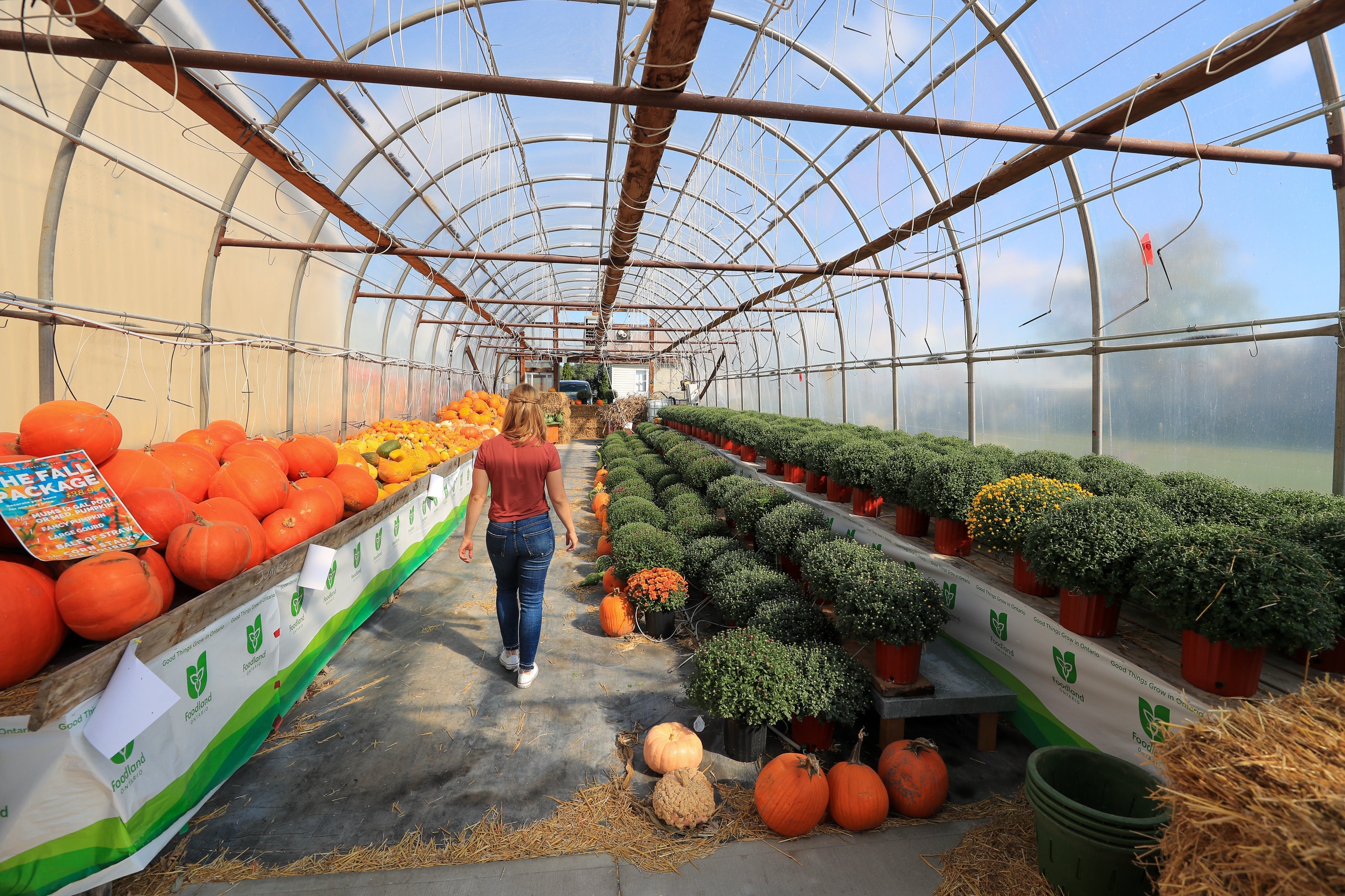 A Simple Guide to Shopping for a Weekend in Essex County