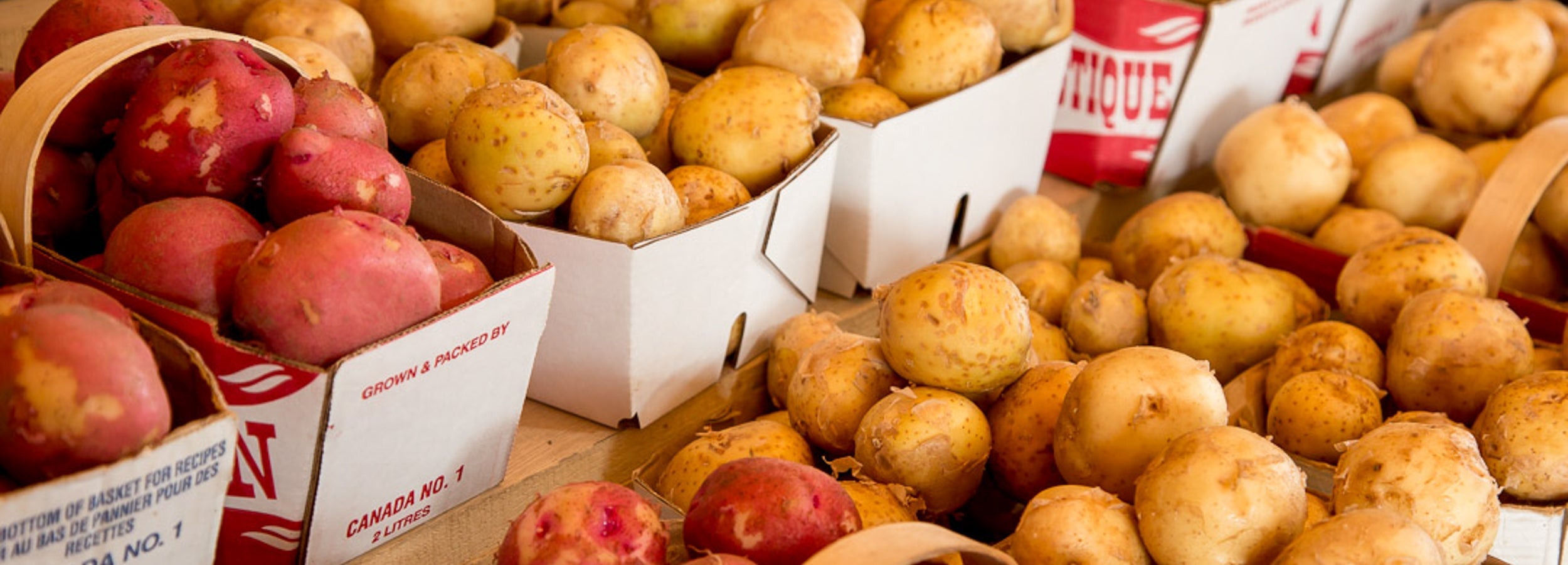 Fresh Produce