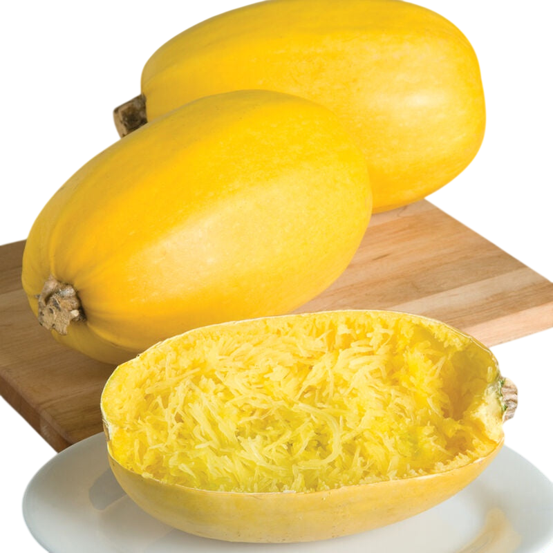 Spaghetti Squash per lb