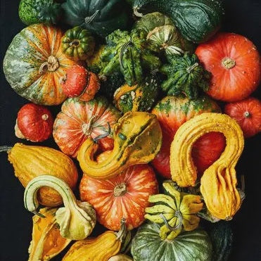 Gourds Lee & Maria's