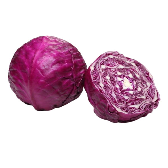 Red Cabbage