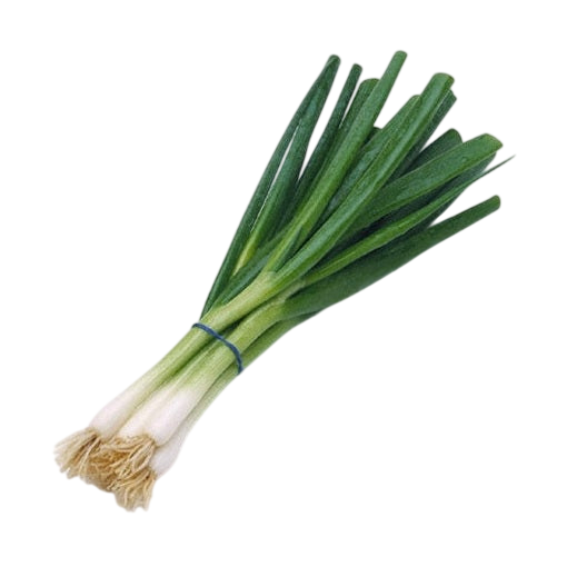 Green Onion Bunch