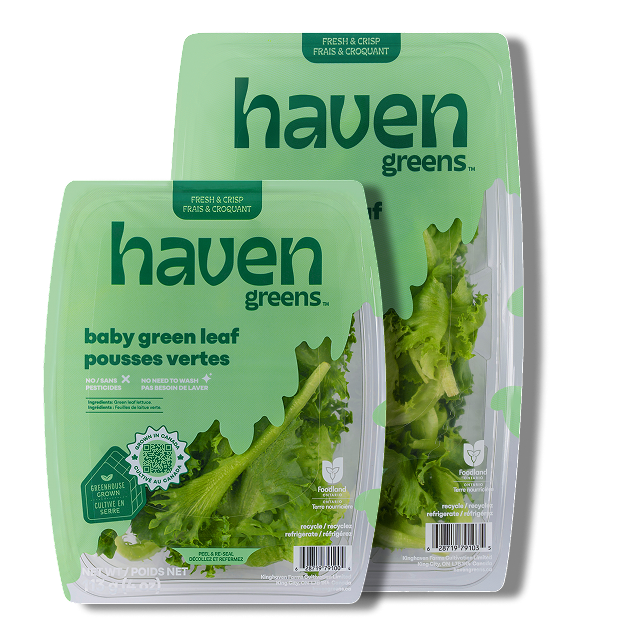 Haven Greens, Baby Green Leaf haven greens