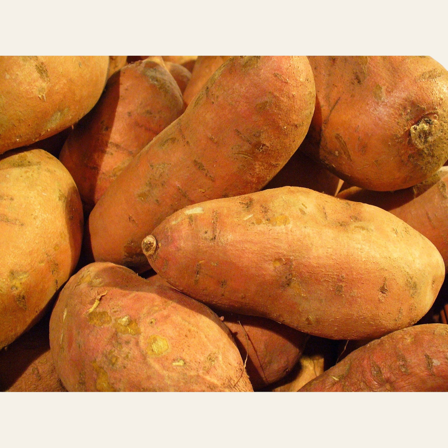 Sweet Potatoes