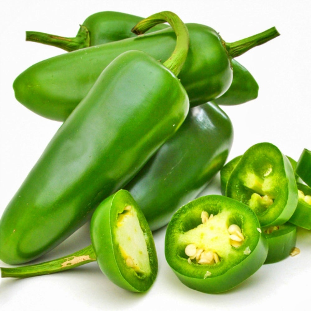 Jalapeno Pepper Plants, 3 inch Lee & Maria's