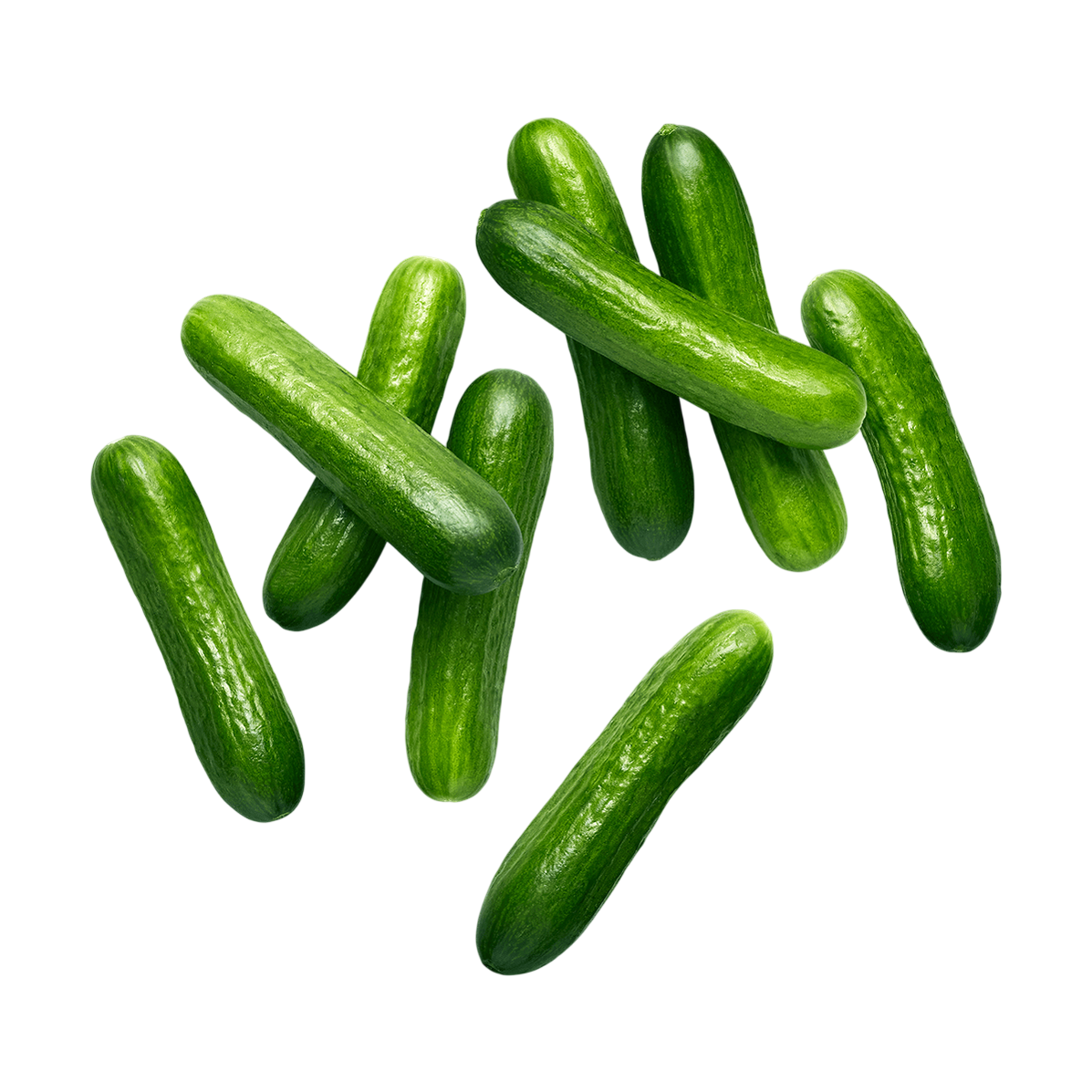 Mini Cucumber, Bag