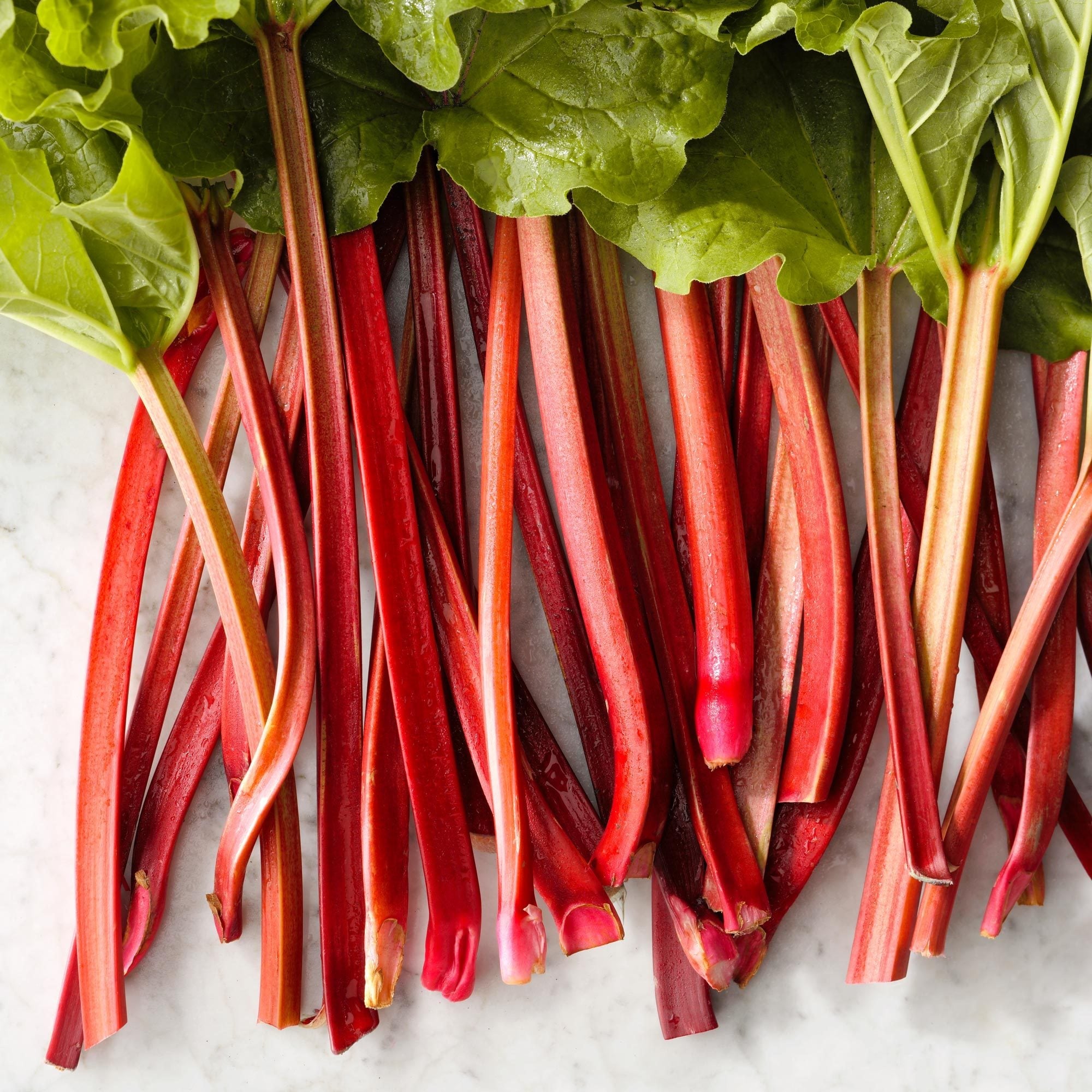 Rhubarb per lb
