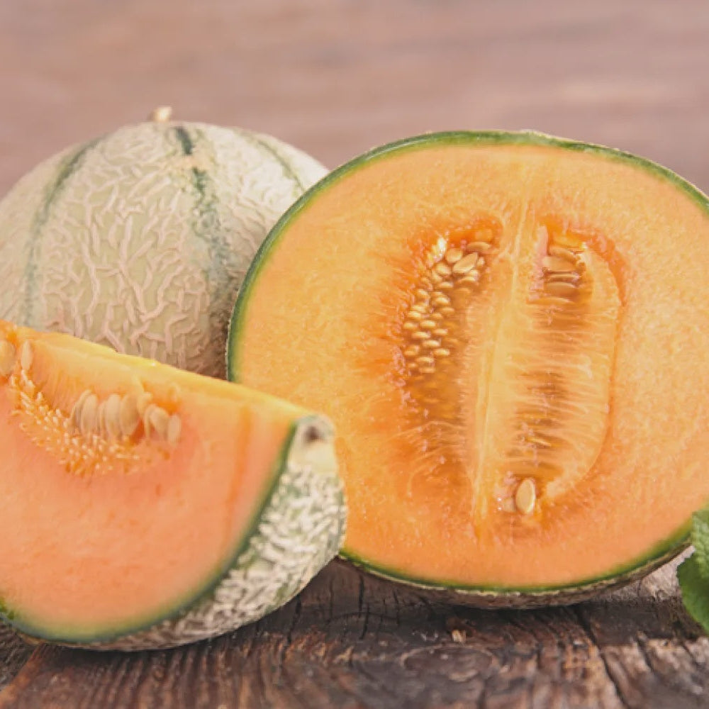 Cantaloupes, Small Lee & Maria's
