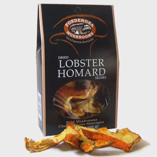 Dried Lobster Mushrooms 14g Ponderosa Mushrooms