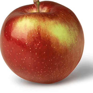 3lb Bag, Empire Apples Lee & Maria's