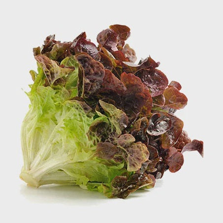Red Leaf Lettuce Sleeved