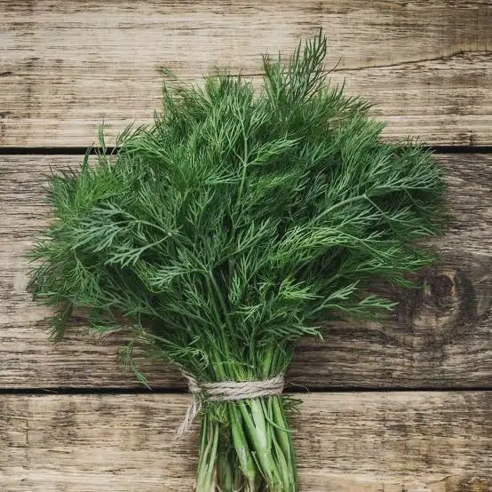 Dill Weed Bunch Not specified