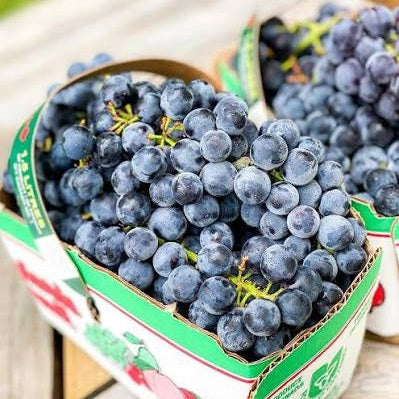 Blue Grapes 1.5L Barraco Vineyards