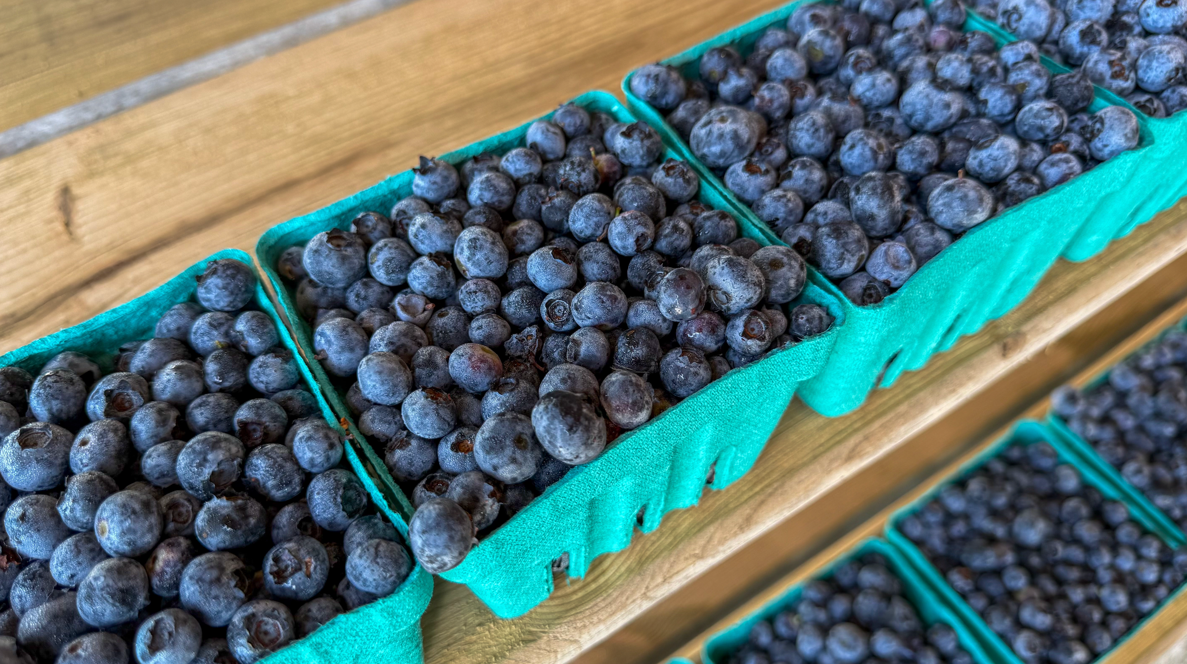 Corn-Firmed: Summer Has Arrived at the Market