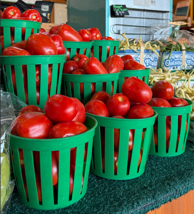 Roma Tomatoes, Daily Harvests and the First Signs of Fall