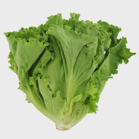 Green Leaf Lettuce w/s Lee & Maria's