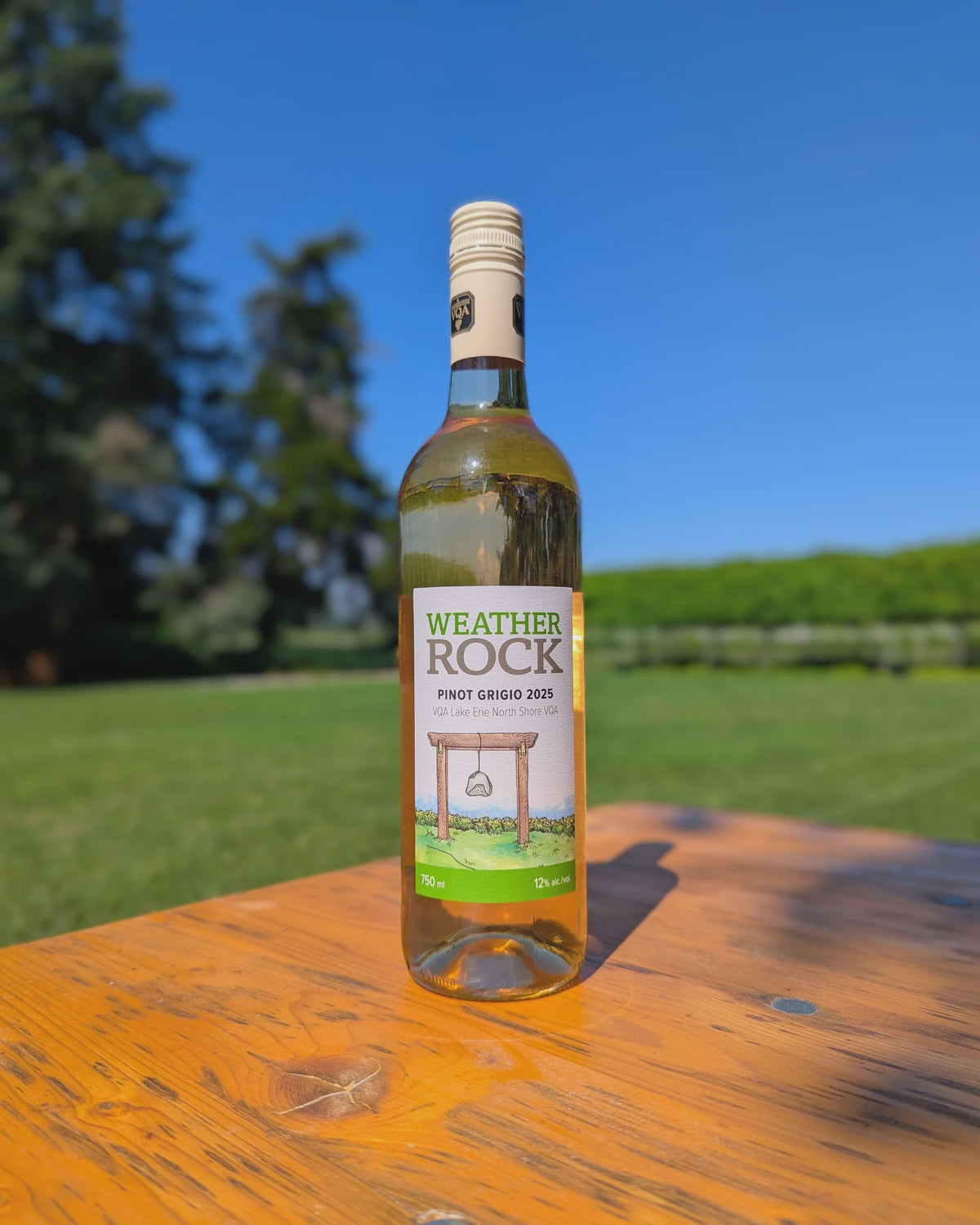 Oxley, Weather Rock Pinot Grigio VQA