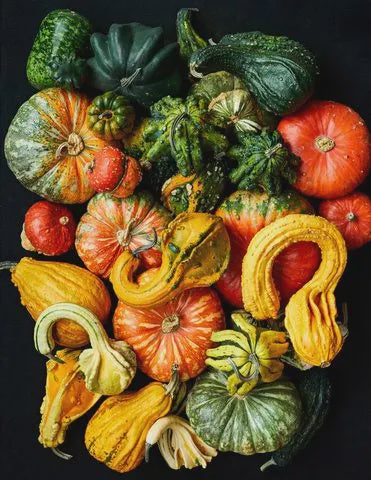 Gourds