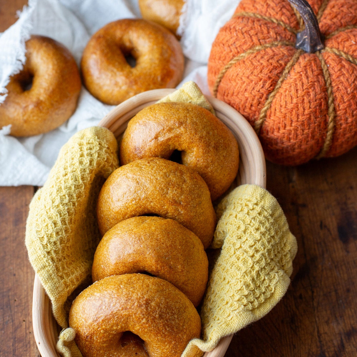 IK, Pumpkin Bagels Iron Kettle Commissary