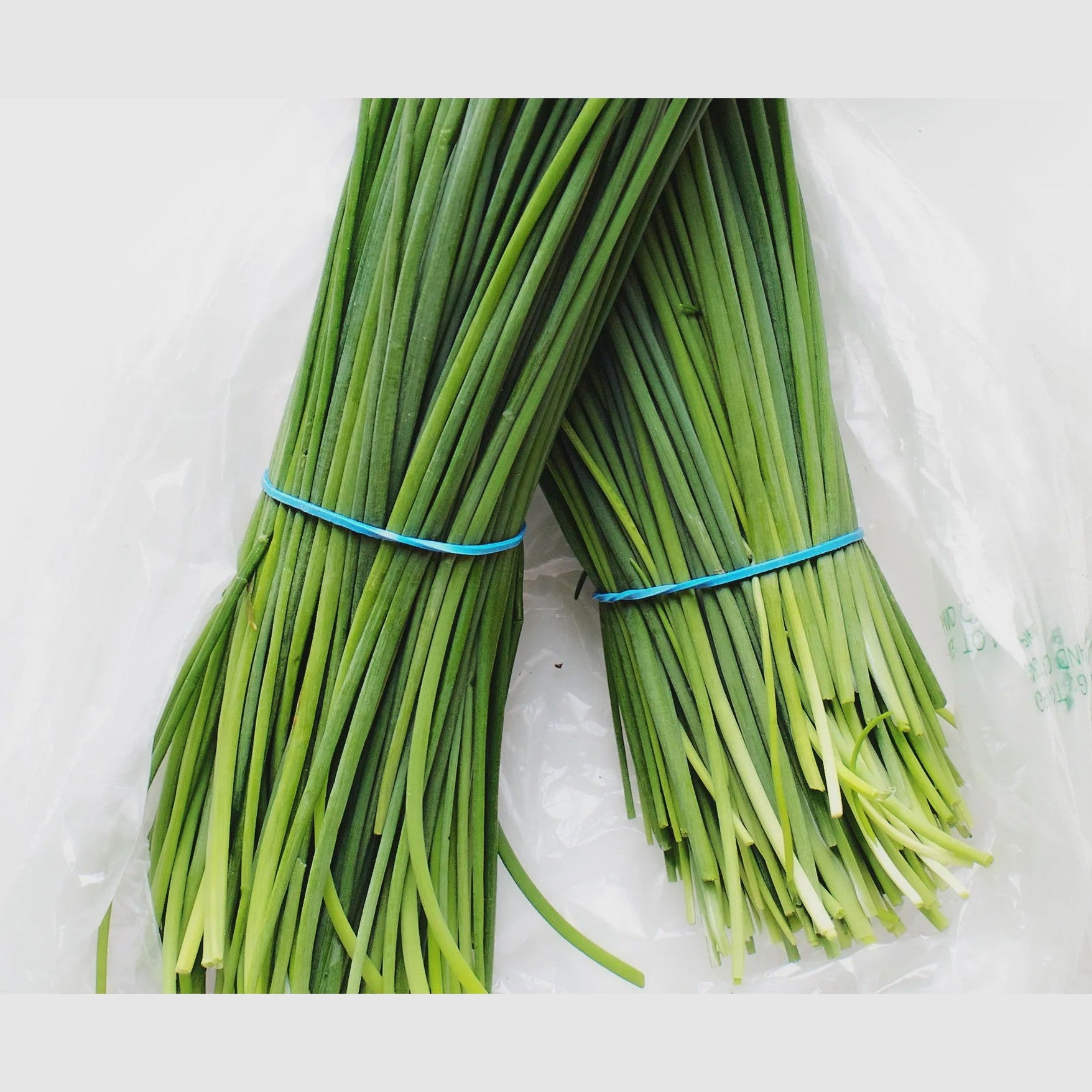3", Chives Lee & Maria's