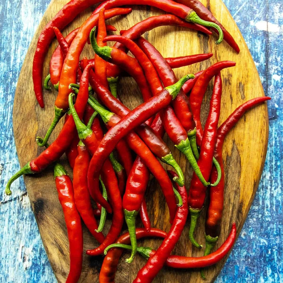 Cayenne Pepper Plants, 3 inch Lee & Maria's