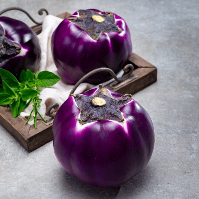 Sicilian Eggplant, Field