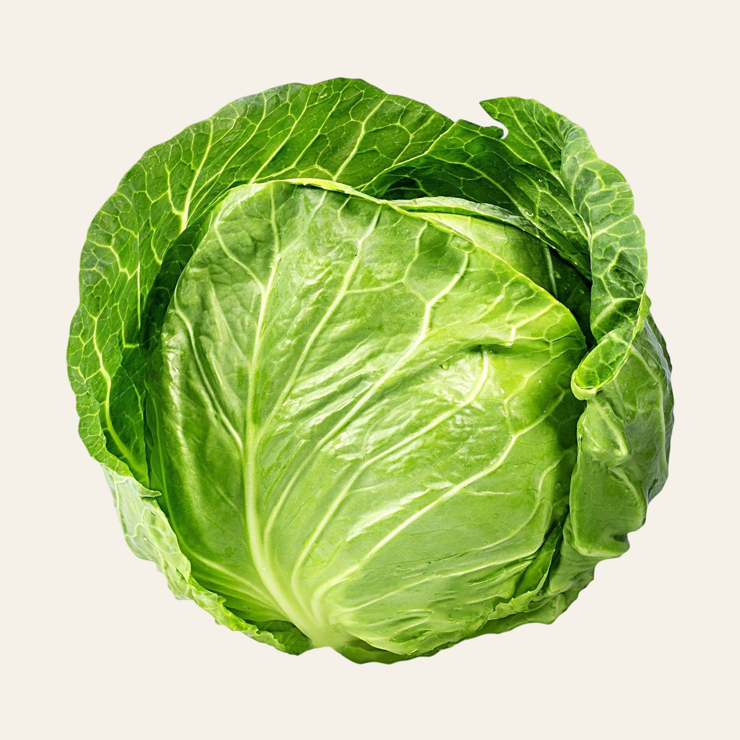 Green Cabbage