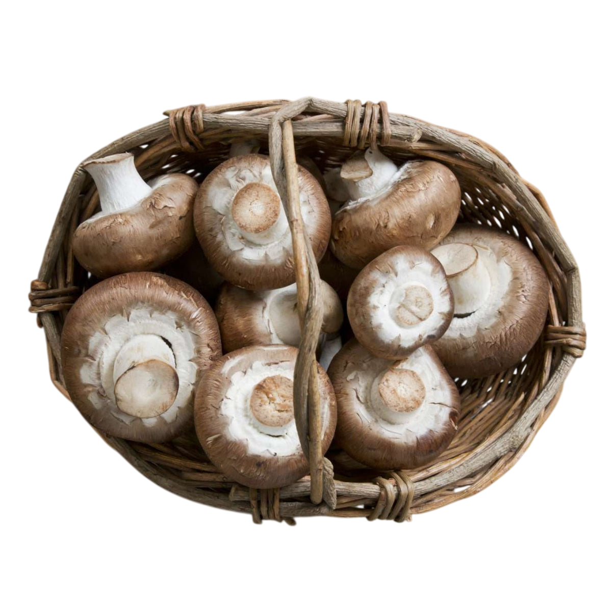 Brown Mushrooms
