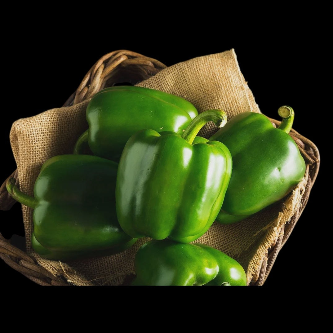 Field Green Bell Pepper, Hamper Lee & Maria's