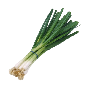 Green Onion Bunch