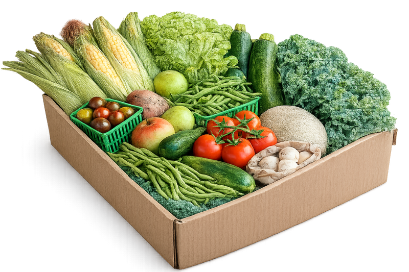 Assorted fresh vegetables in a cardboard box on a white background