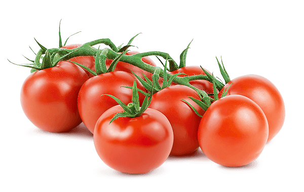 Cocktail Tomatoes per lb Not specified