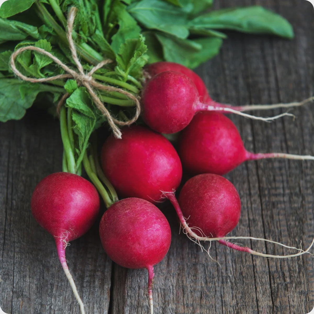 Radishes