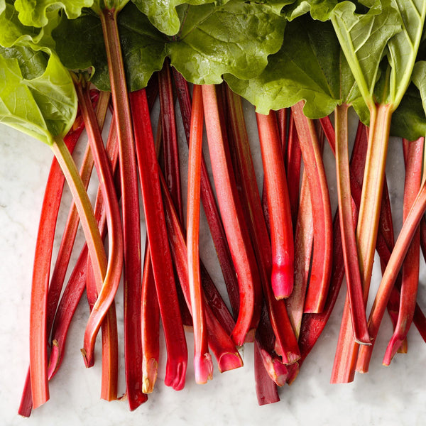Rhubarb per lb