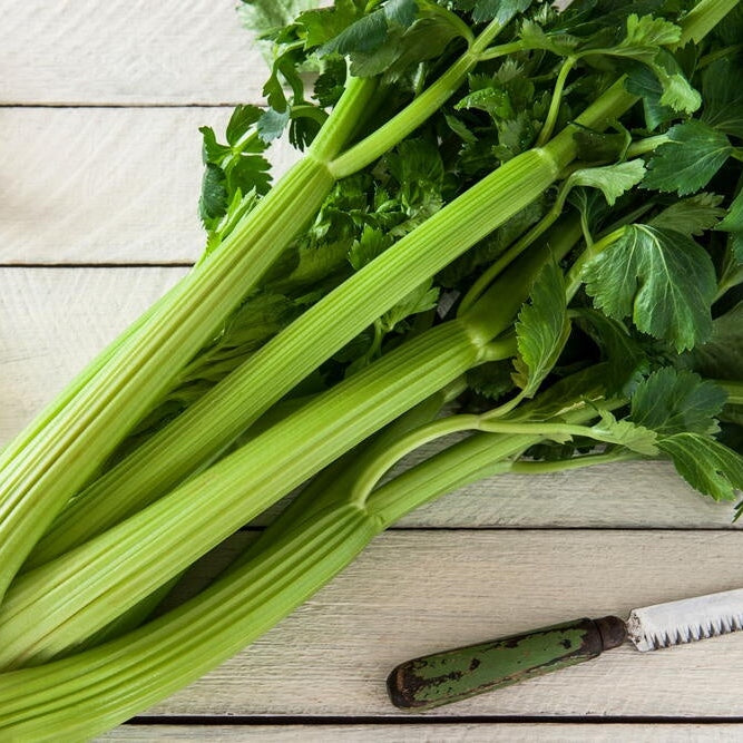 Celery Not specified