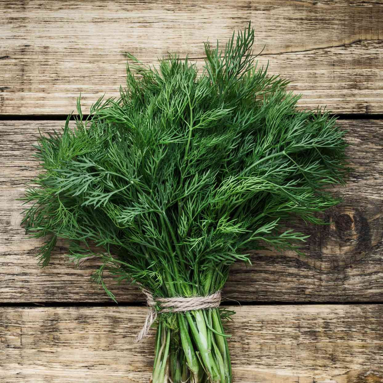 3" Dill Lee & Maria's