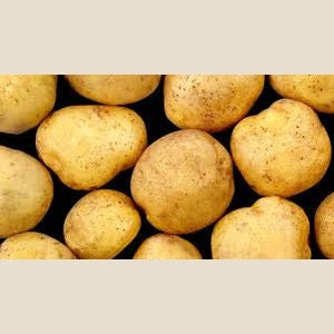 Yellow Fleshed Potatoes 5lbs Not specified