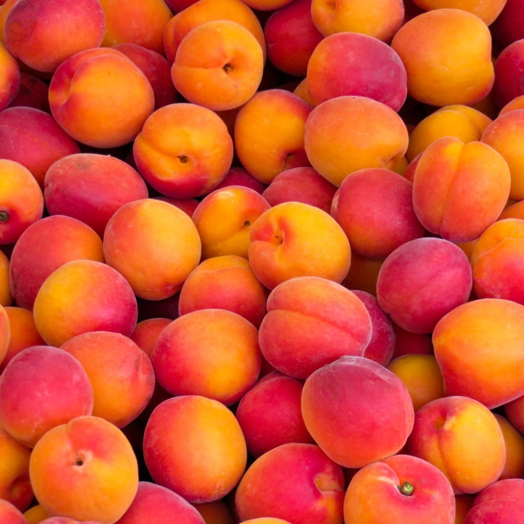 Peaches, 2/ltr Lee & Maria's