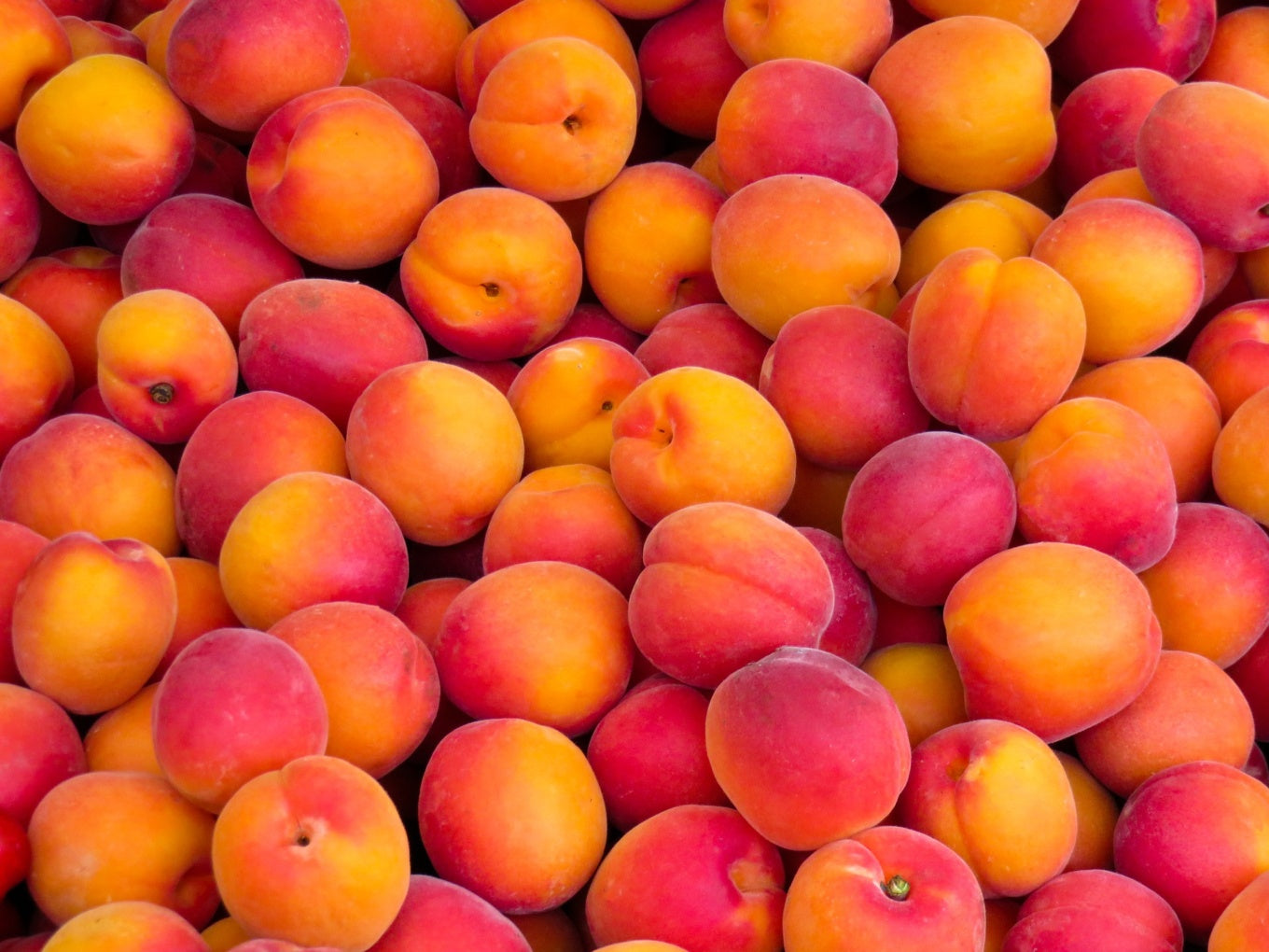 Peaches, Single