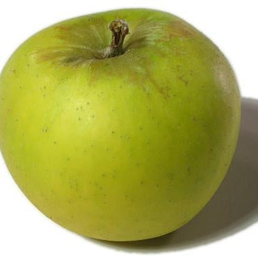Apples, Gingergolds per lb Lee & Maria's