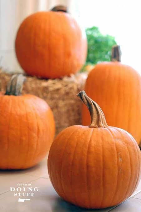 Pie Pumpkins Lee & Maria's