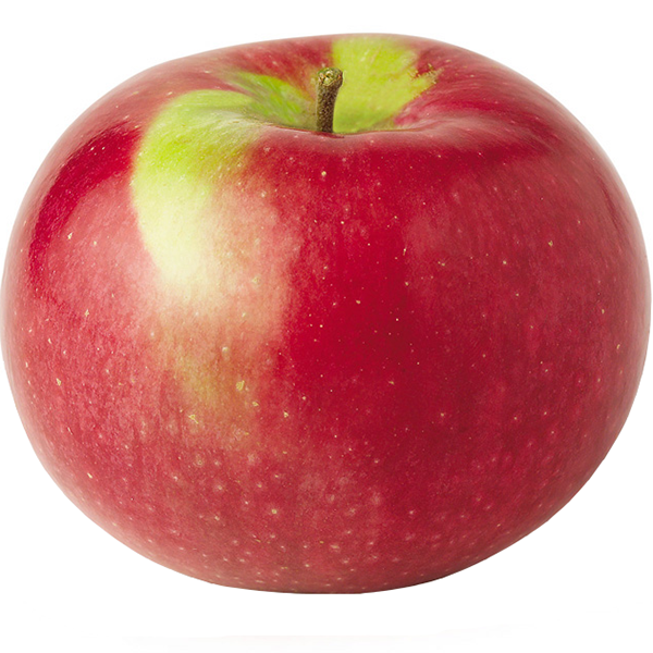 3lb Bags, MacIntosh