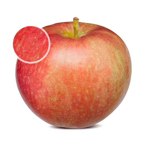 Paula Red Apples per lb Lee & Maria's