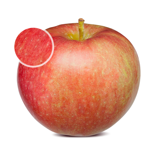 Paula Red Apples per lb Lee & Maria's