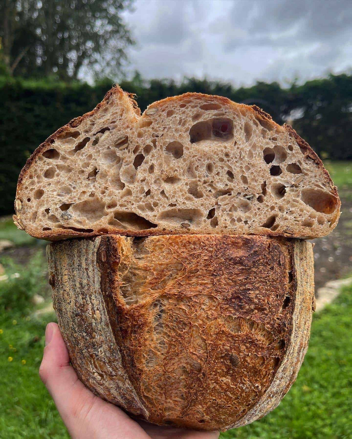 IK, Squash, Pumpkin Seed  Sourdough