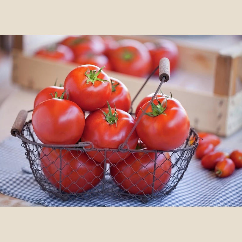 Beefsteak Tomatoes, 2 L