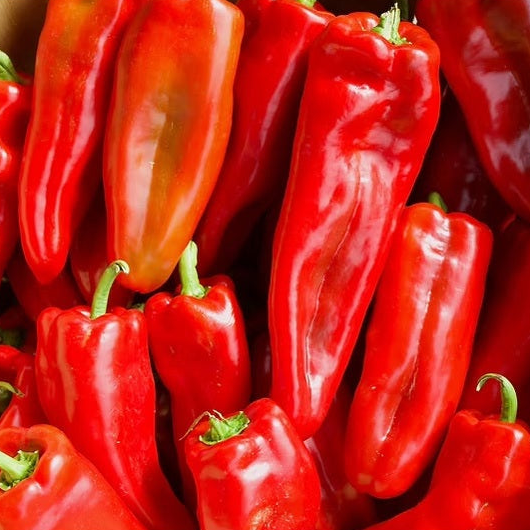 Shepherd Peppers