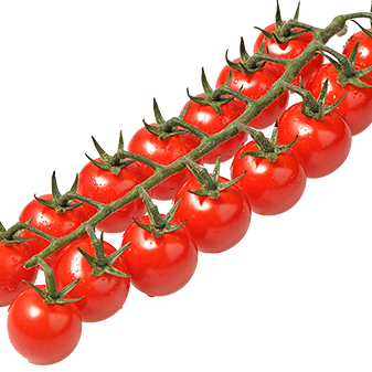 Cherry on the Vines Not specified