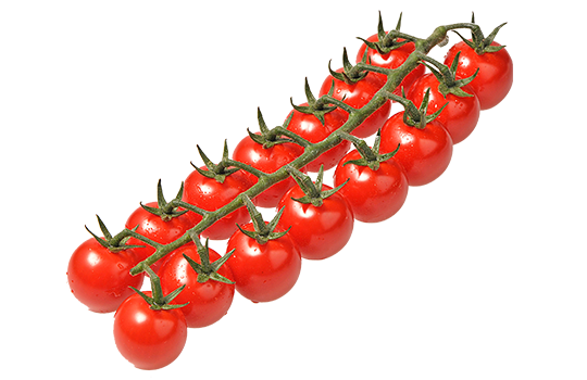 Cherry on the Vines