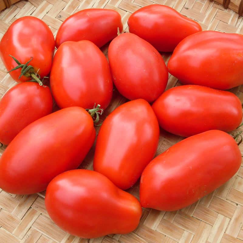 Field Roma Tomatoes per lb Lee & Maria's